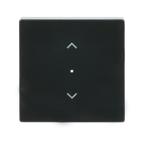 Busch-Jaeger Wippe 1-f Symbol Jalousie anthrazit 6232-10-81